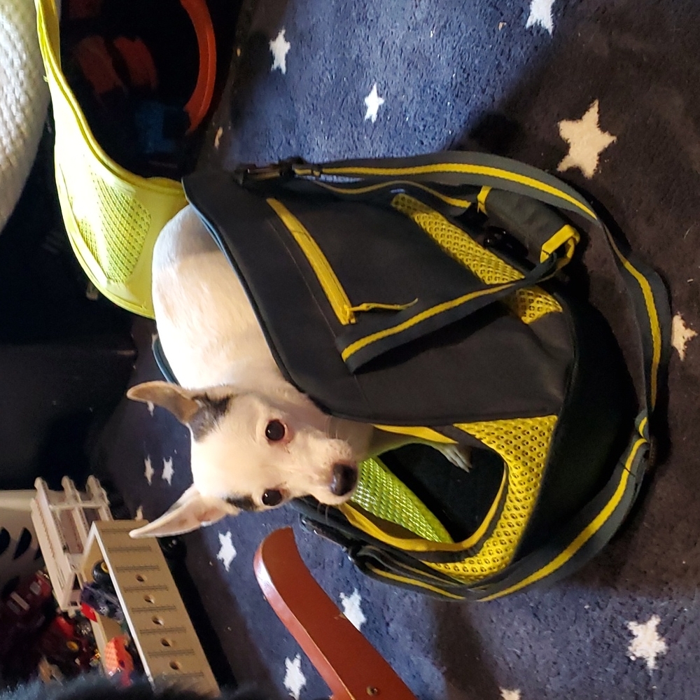 Small Pet Carrier